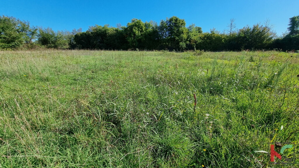 Image 6230397 - 4