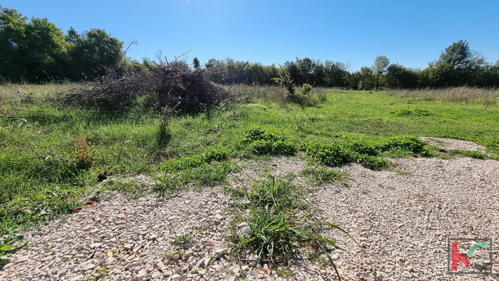 Image 6230397 - 1