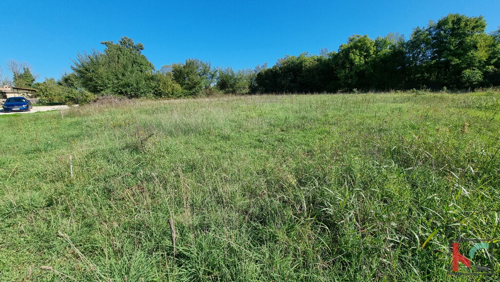 Image 6230397 - 3