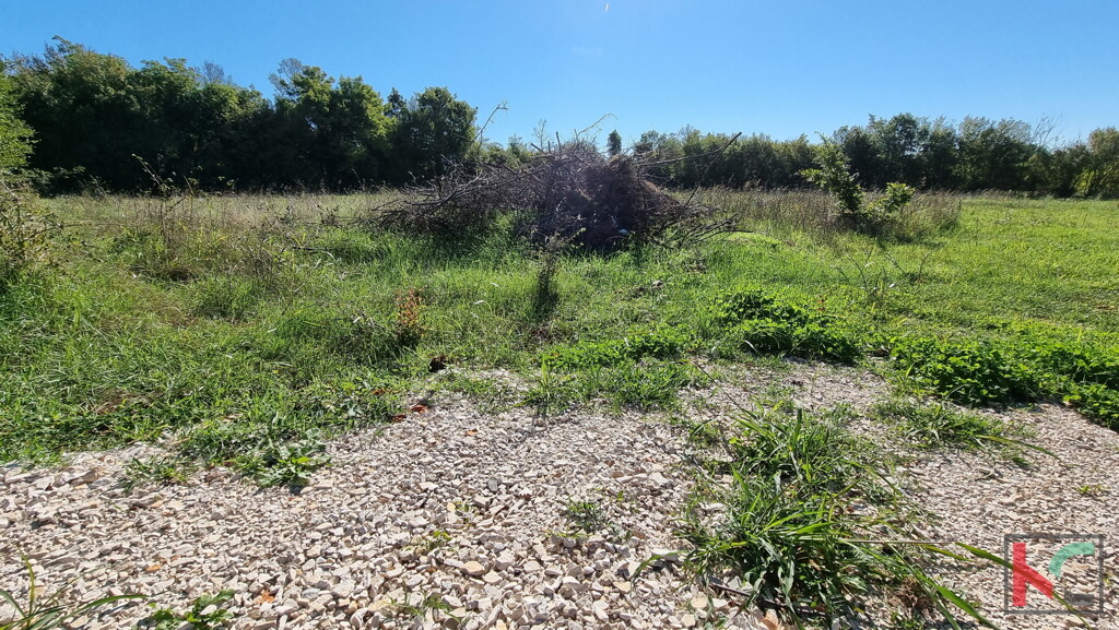 Image 6230397 - 2