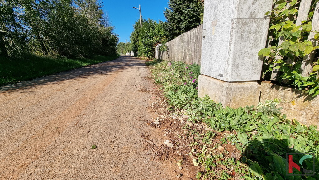 Image 6230397 - 5