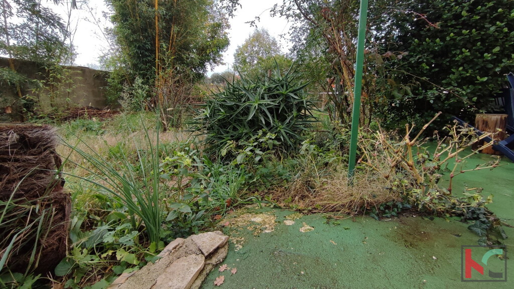 Image 6230403 - 12