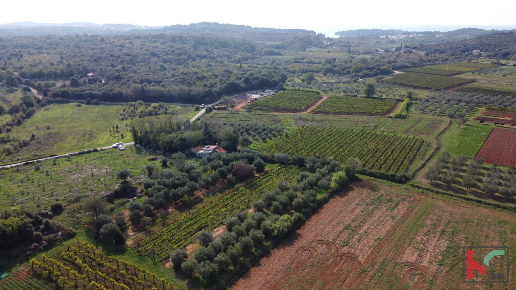 Image 6230405 - 1