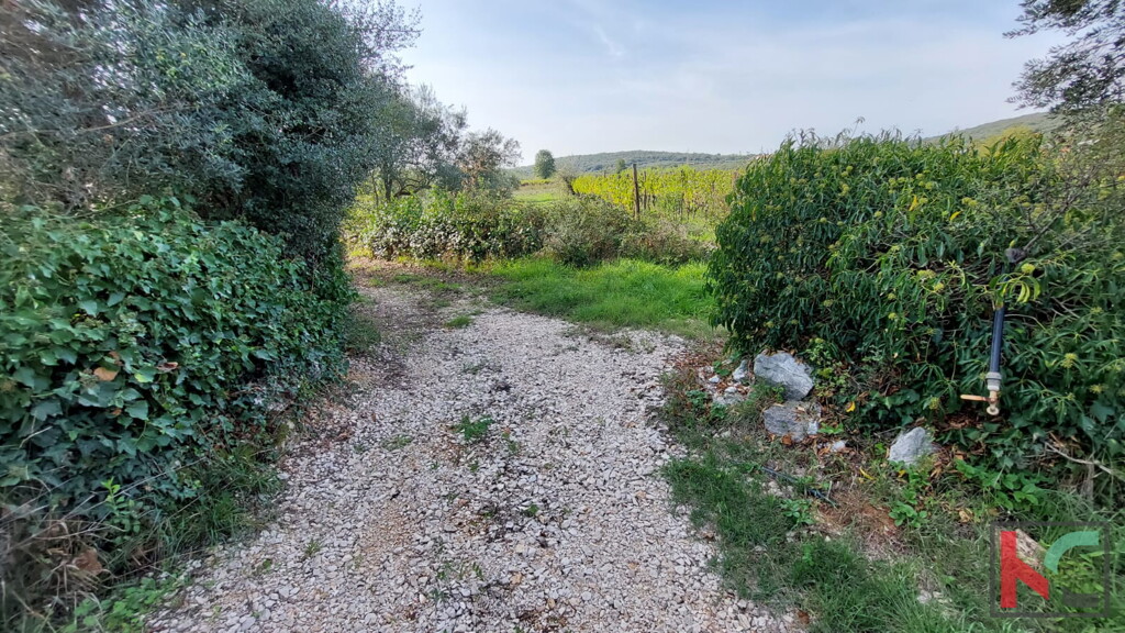 Image 6230405 - 14