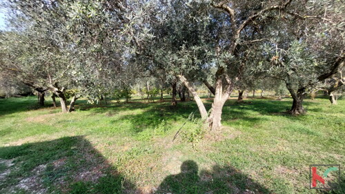 Thumbnail 6230405 - 17