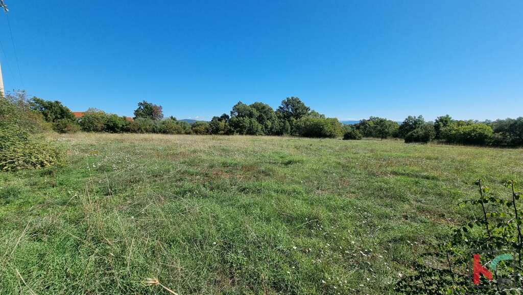 Image 6230406 - 7