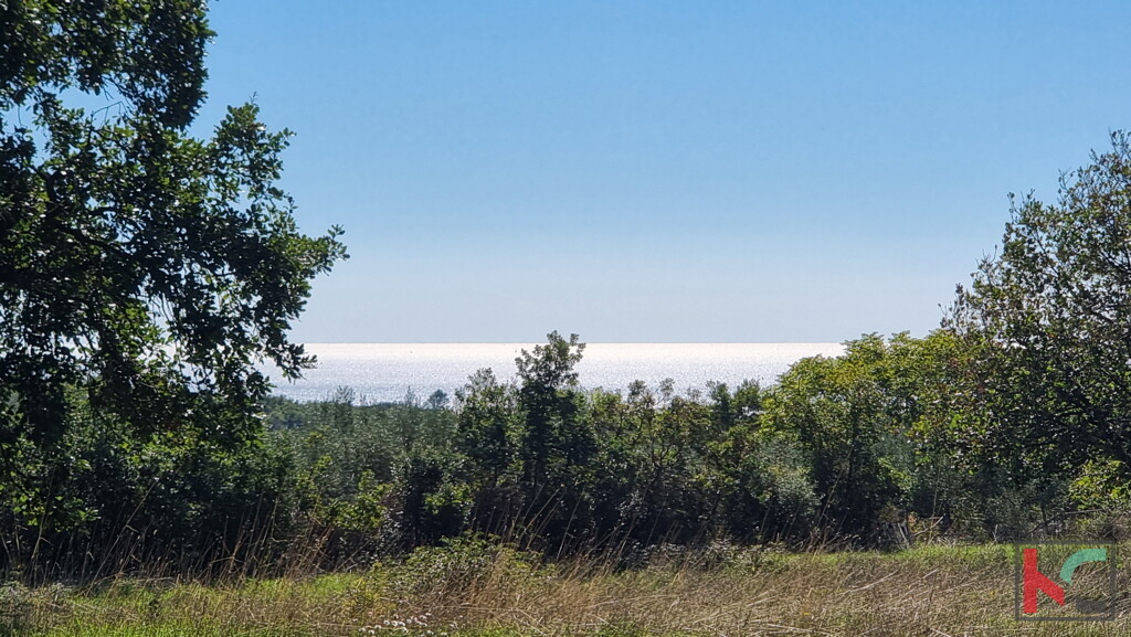 Image 6230406 - 1