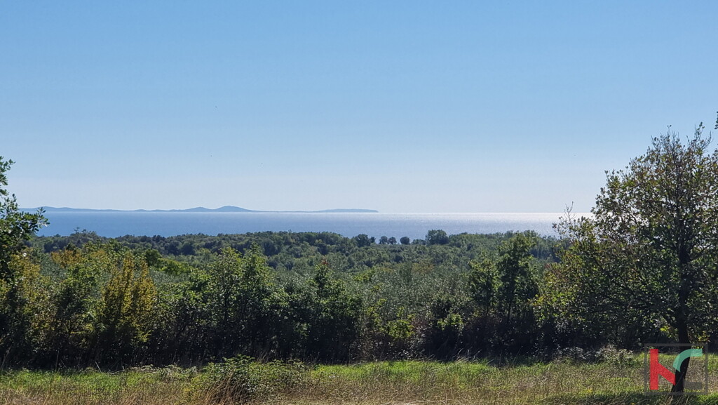 Image 6230406 - 3