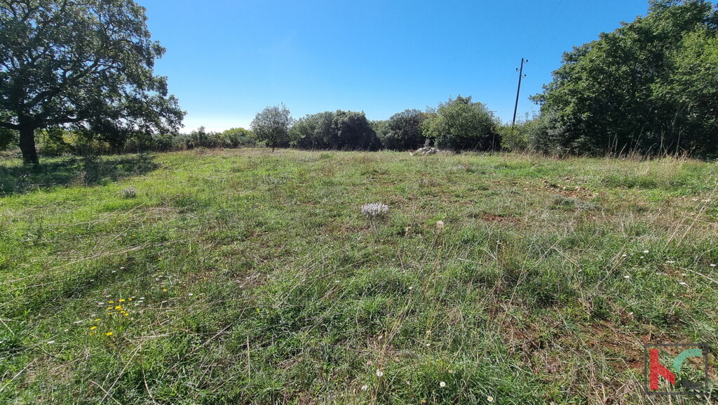 Image 6230406 - 2
