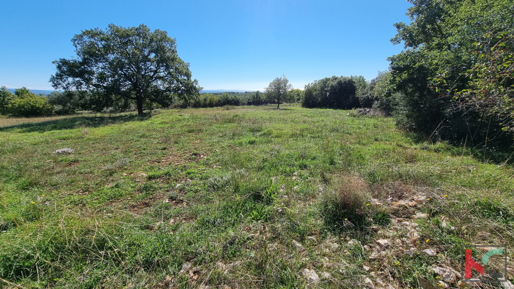 Image 6230406 - 6
