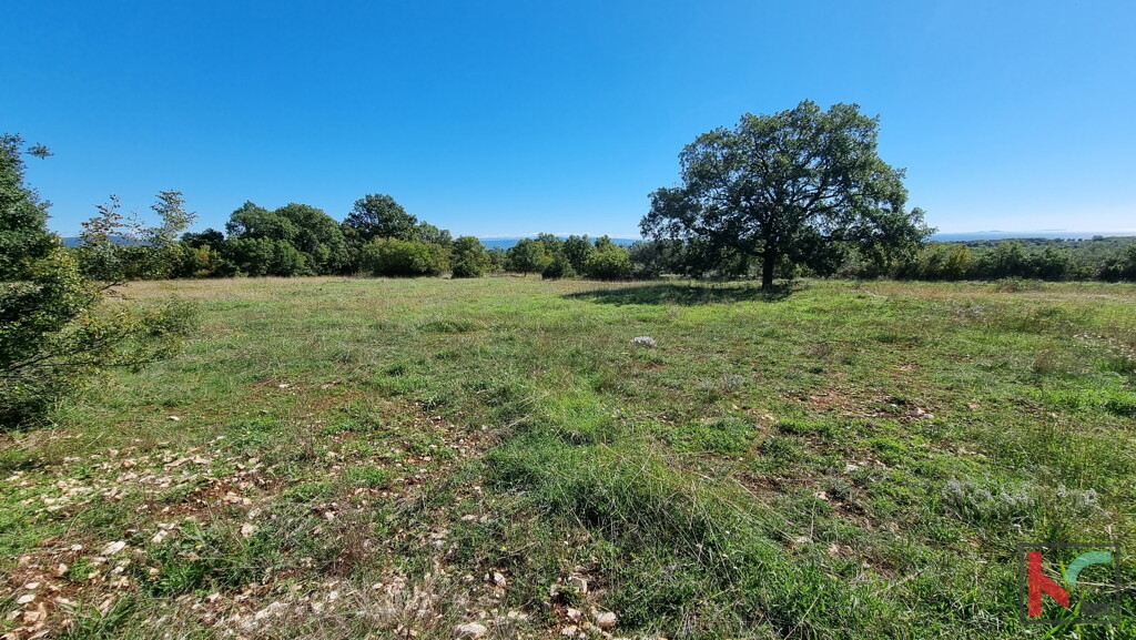 Image 6230406 - 5