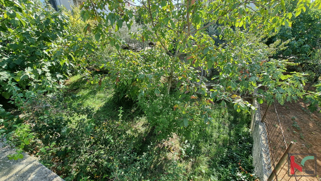 Image 6230408 - 11