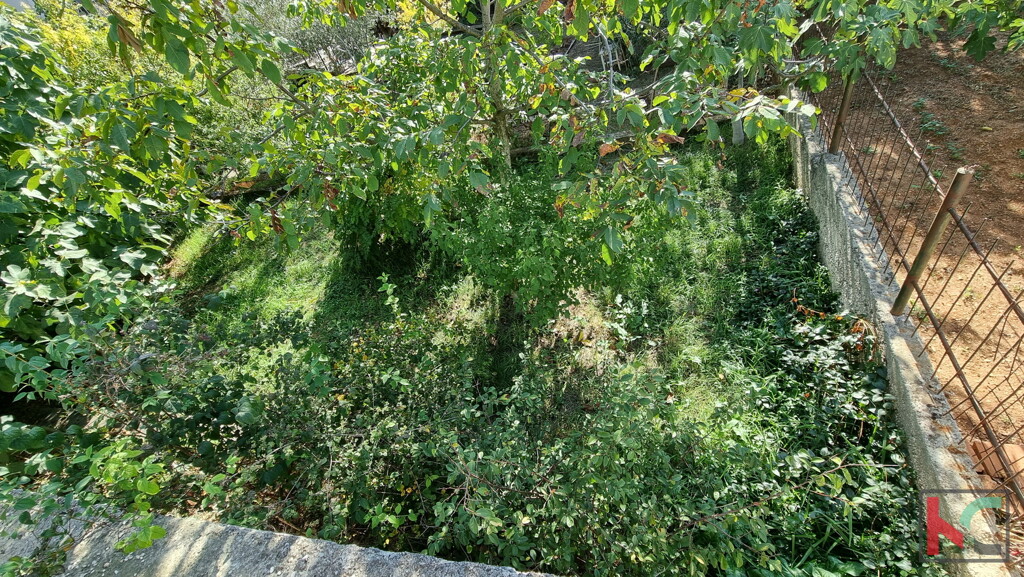 Image 6230408 - 10