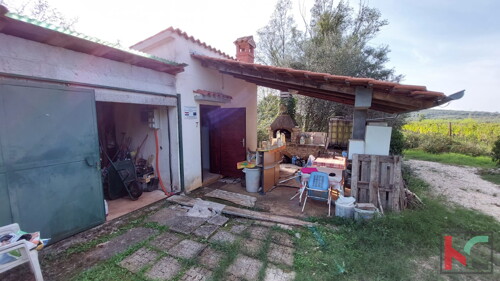 Thumbnail 6230410 - 12