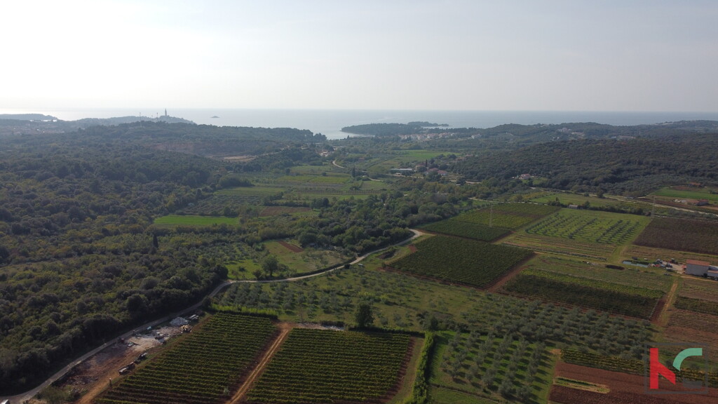 Image 6230410 - 9