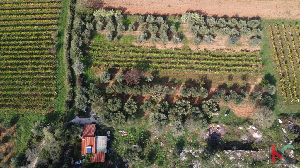 Image 6230410 - 8