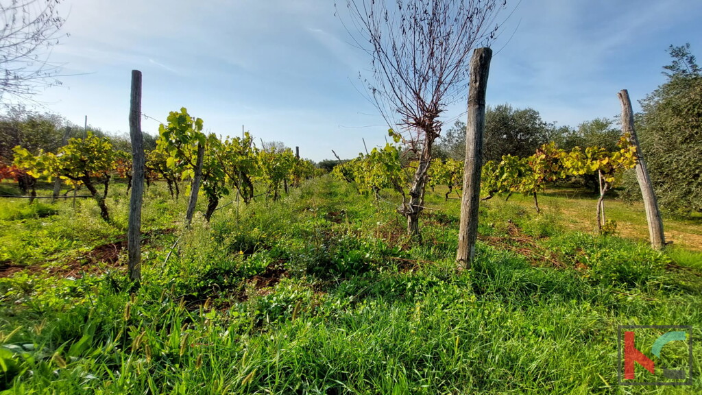 Image 6230410 - 7