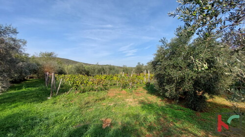 Thumbnail 6230410 - 2