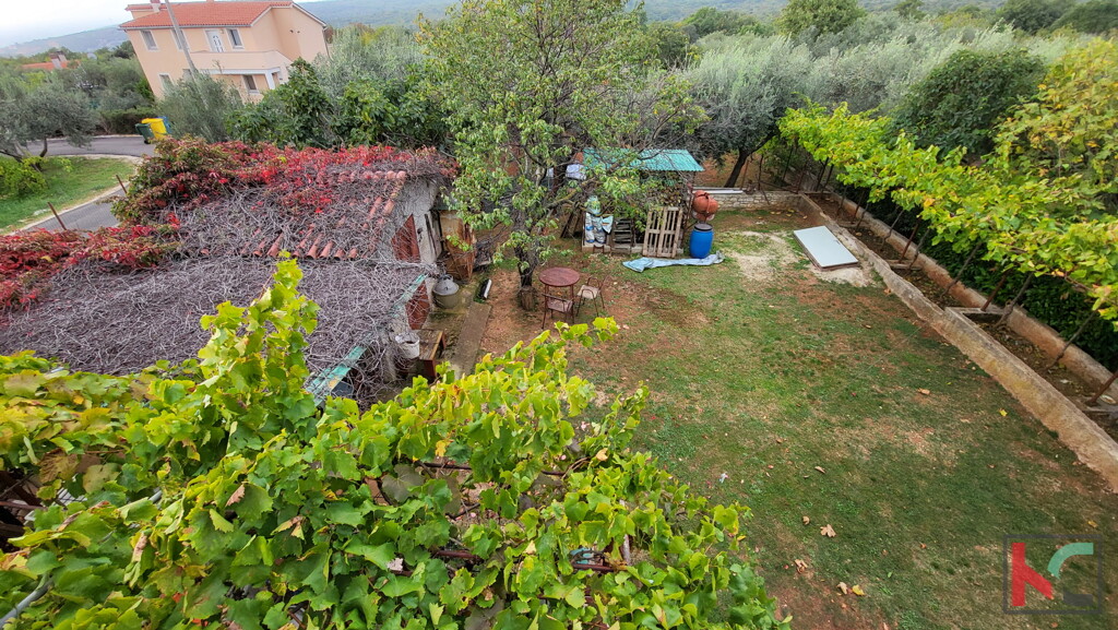 Image 6230412 - 3