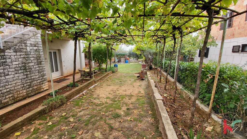 Image 6230412 - 8