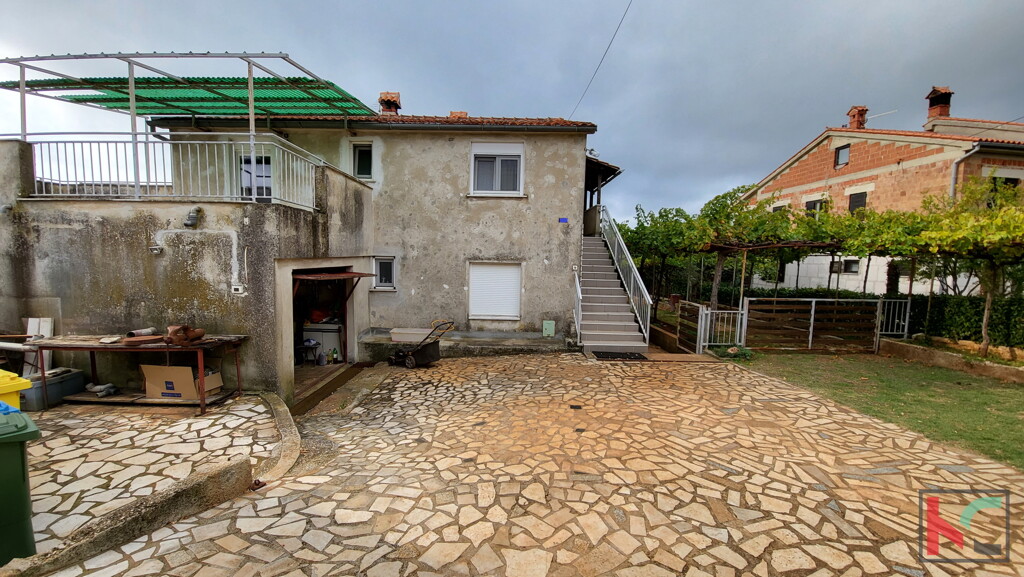 Image 6230412 - 2
