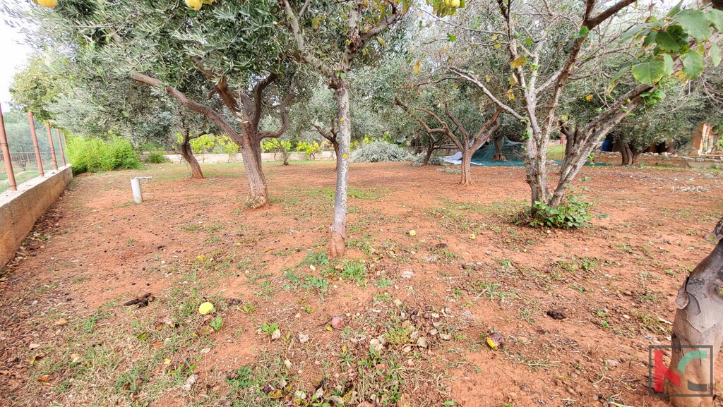 Image 6230412 - 5