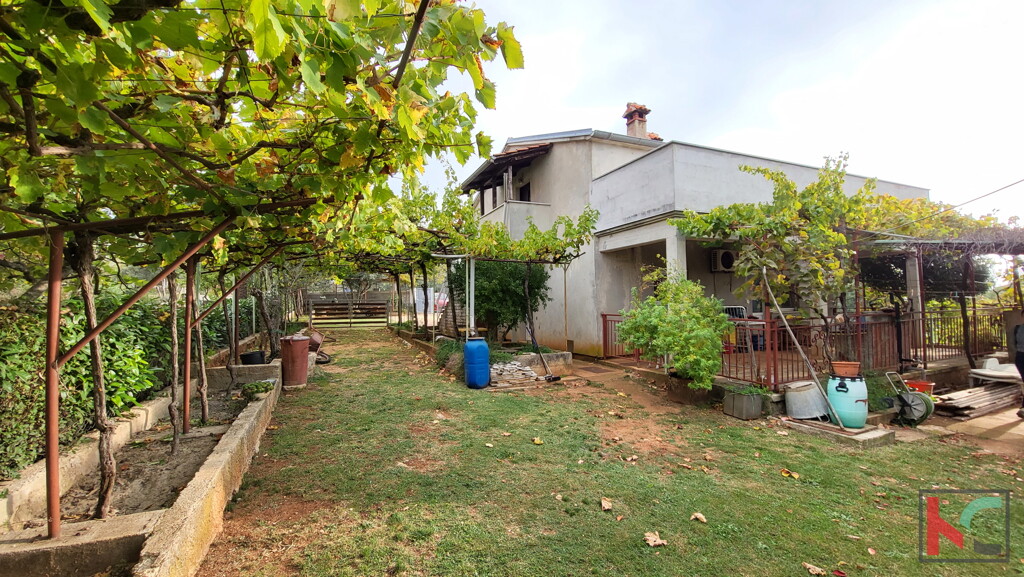 Image 6230412 - 1