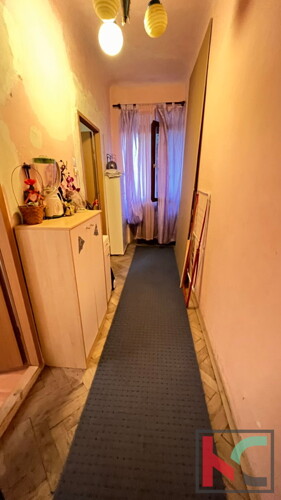 Thumbnail 6230419 - 3