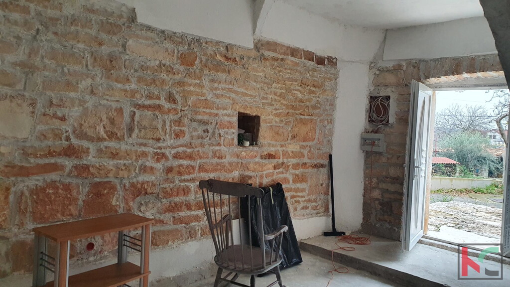 Image 6230426 - 8