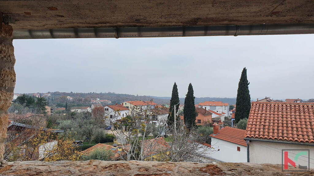 Image 6230426 - 5