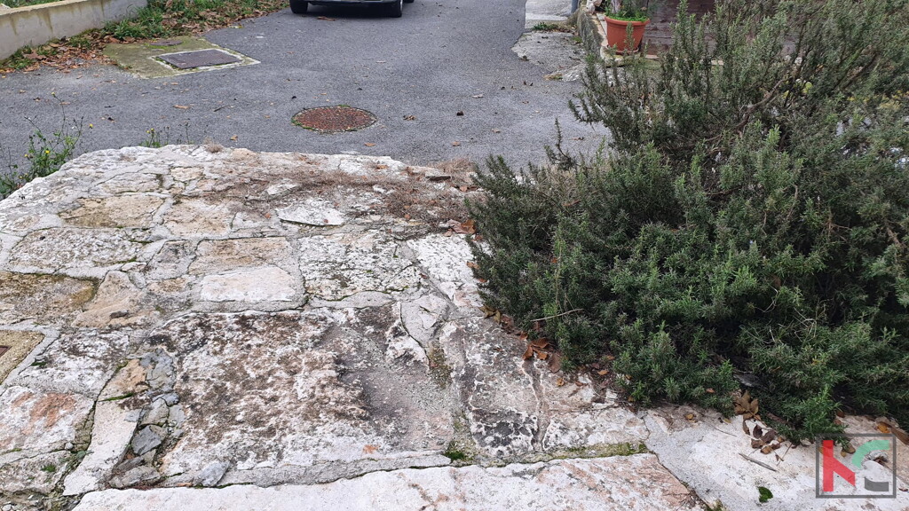 Image 6230426 - 14