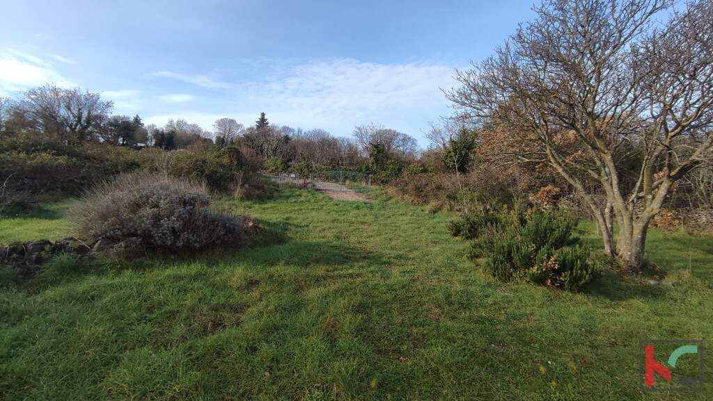 Image 6230428 - 10