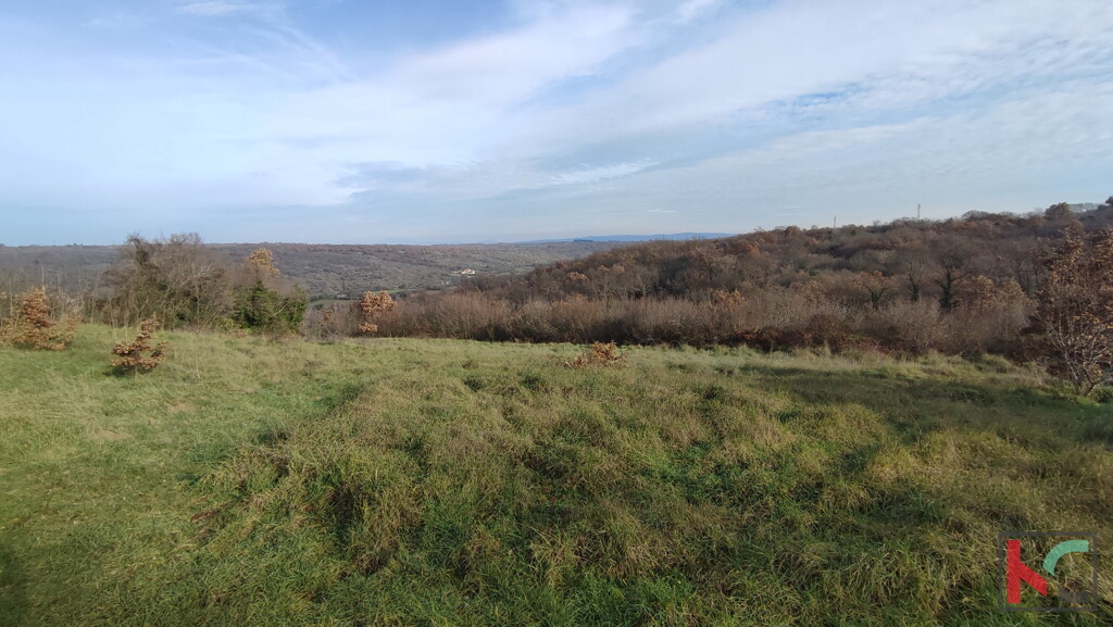 Image 6230428 - 5