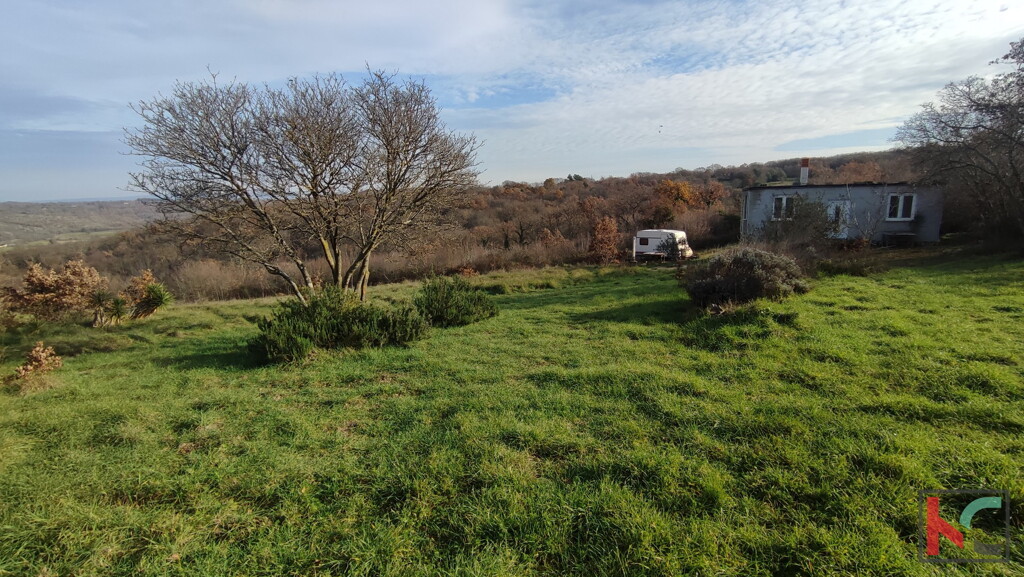 Image 6230428 - 12