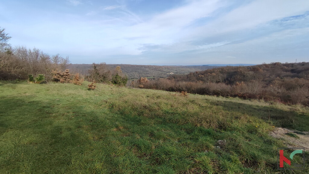 Image 6230428 - 3