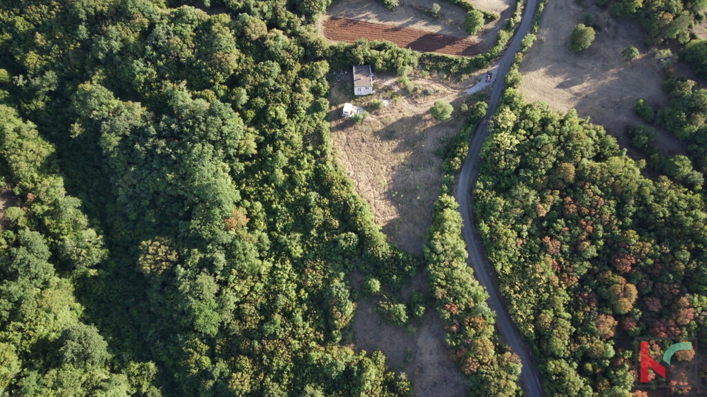 Image 6230428 - 20