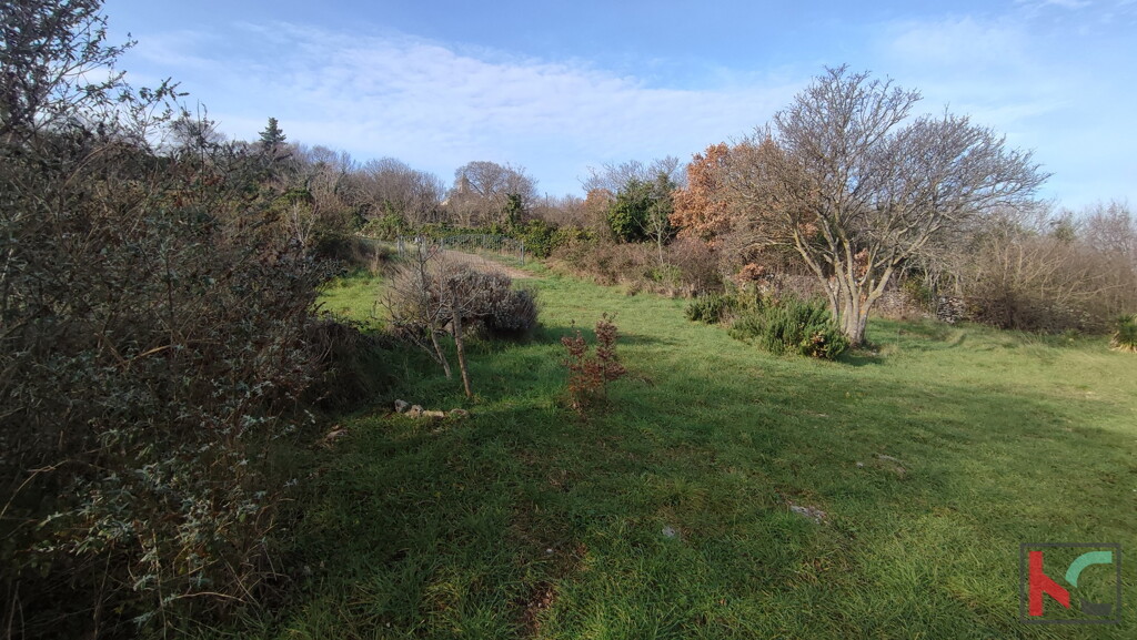 Image 6230428 - 4