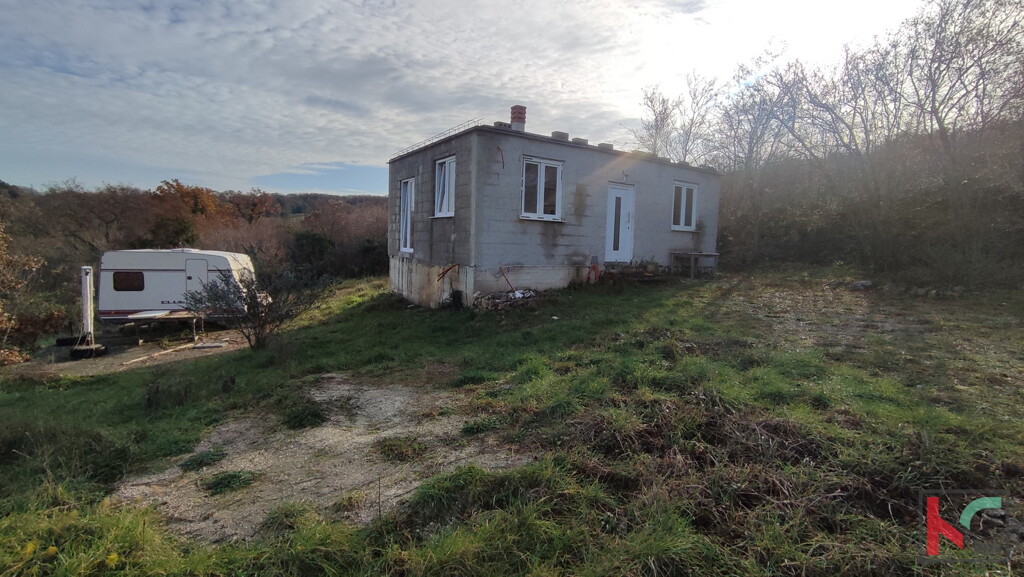 Image 6230428 - 8