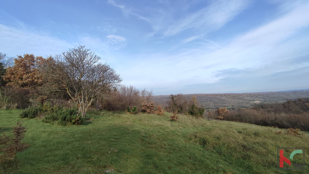 Image 6230428 - 9