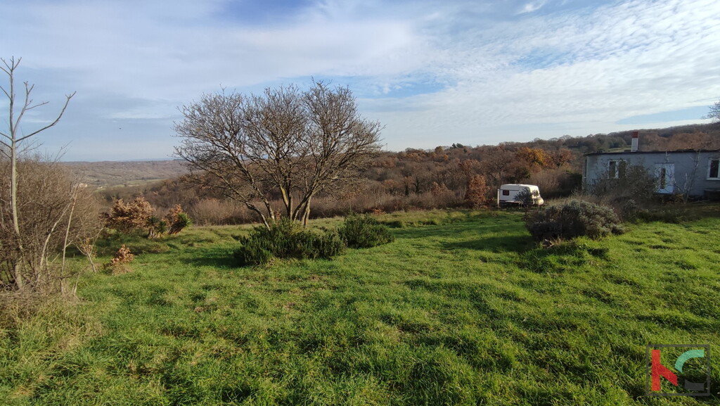 Image 6230428 - 13