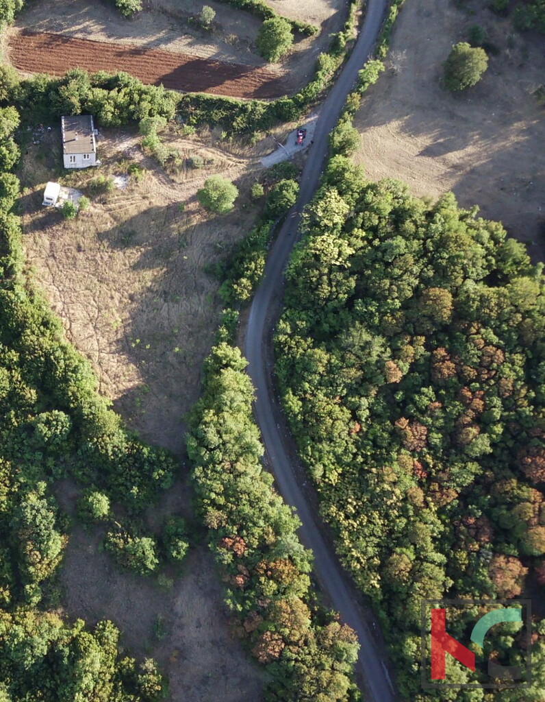 Image 6230428 - 21