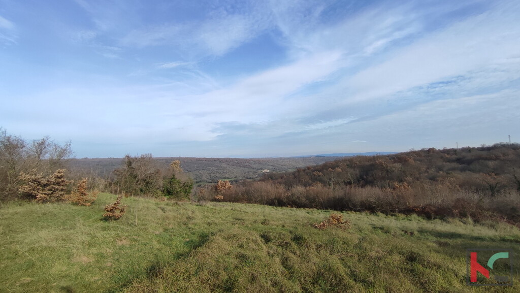 Image 6230428 - 7