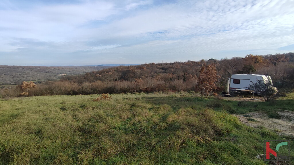 Image 6230428 - 6