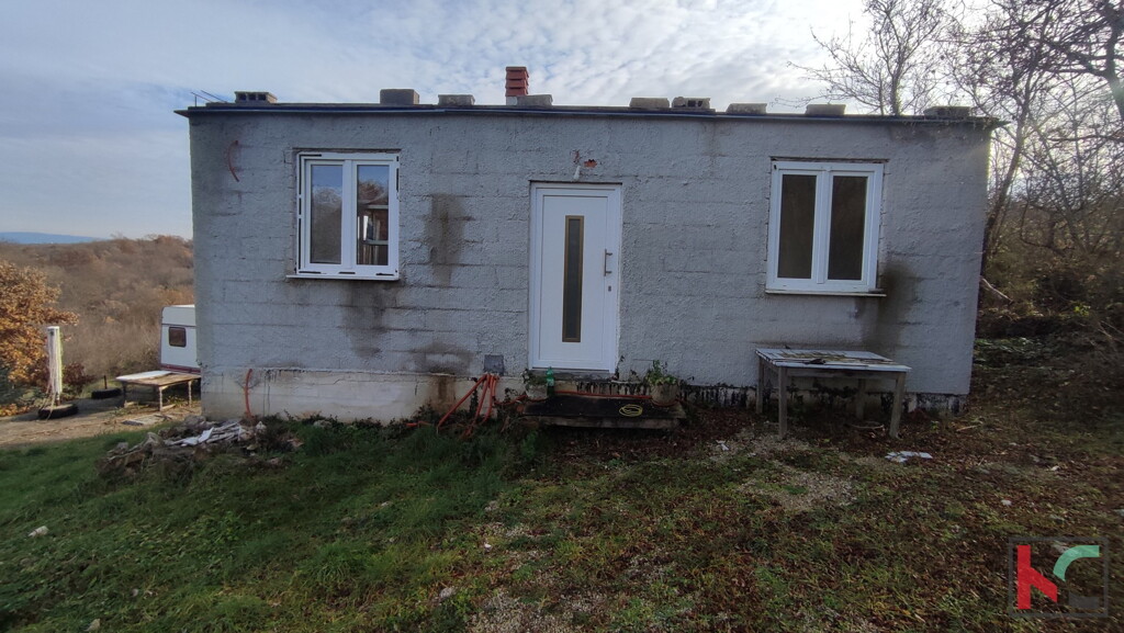 Image 6230428 - 2