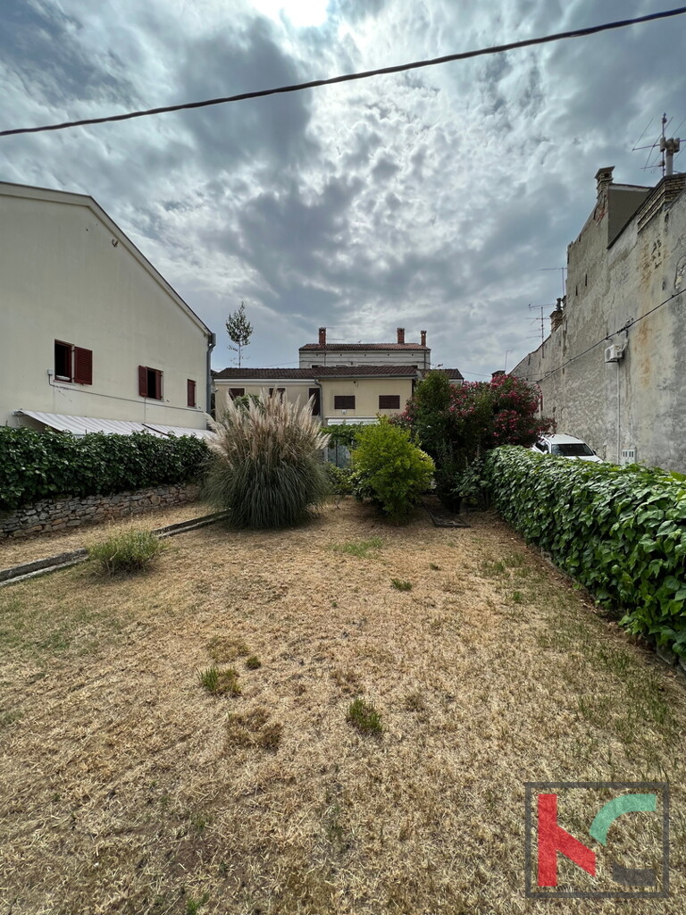 Image 6230435 - 2