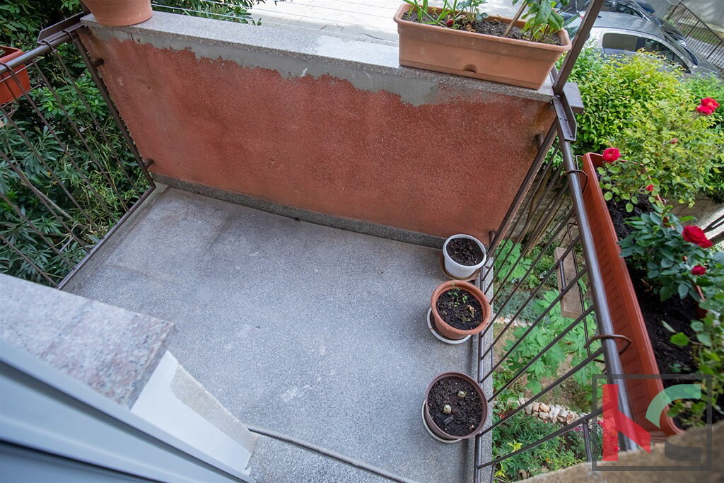 Image 6230438 - 5