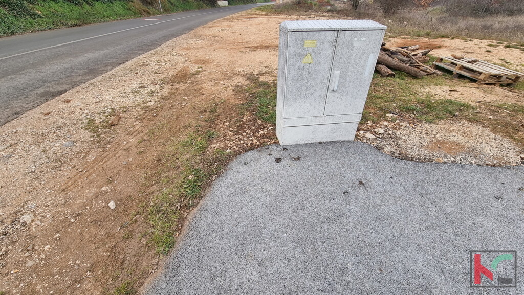Image 6230441 - 6
