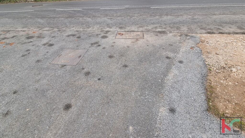Image 6230441 - 5