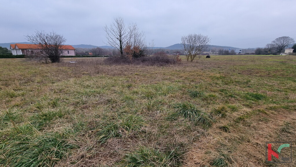 Image 6230441 - 1