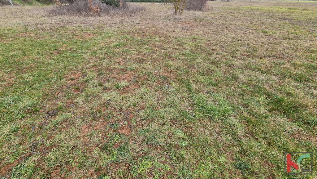 Image 6230441 - 4